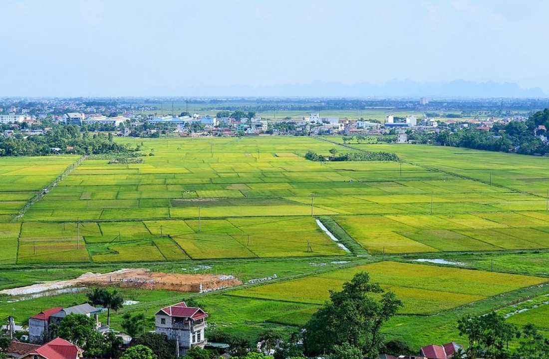 luật đất đai