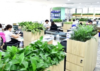 “Xanh hóa” văn phòng làm việc: Xu hướng tất yếu của tương lai